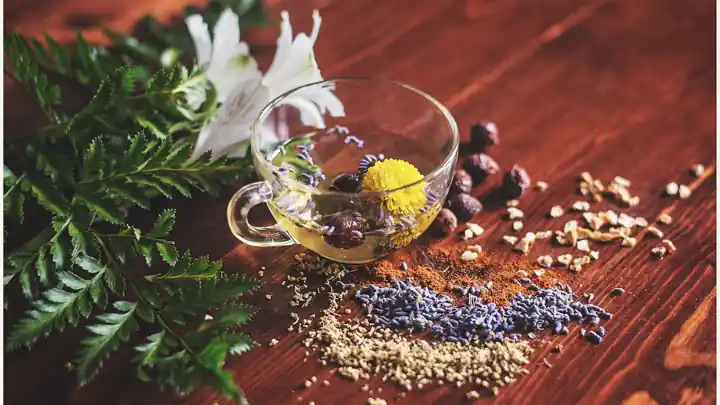 Mejores Teteras e Infusores para Hierbas Medicinales 2026